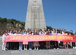 合一社區(qū)黨建活動